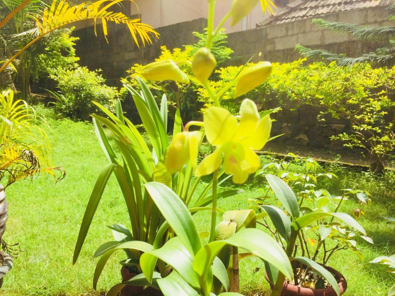 Ganesh House Homestay Kovalam Dış mekan fotoğraf